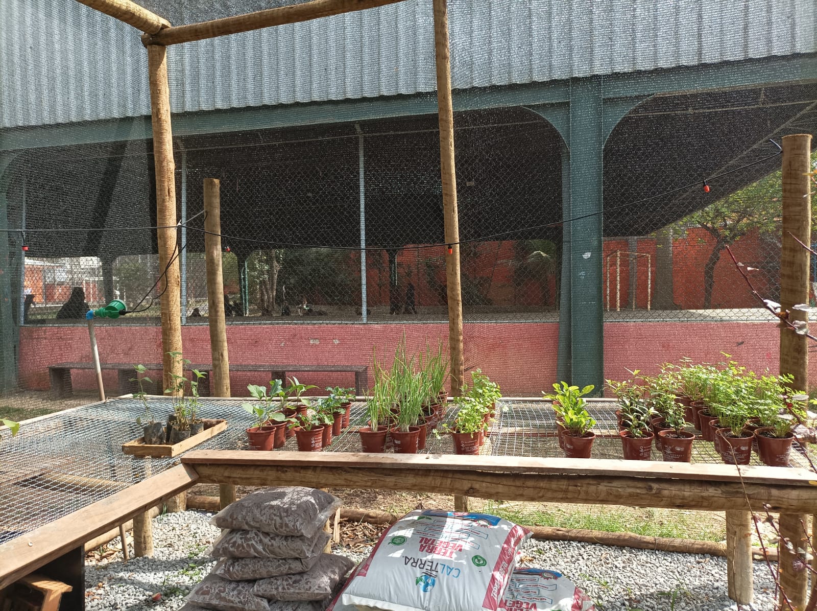 WhatsApp Image 2025-08-05 at 11.37.10.jpg